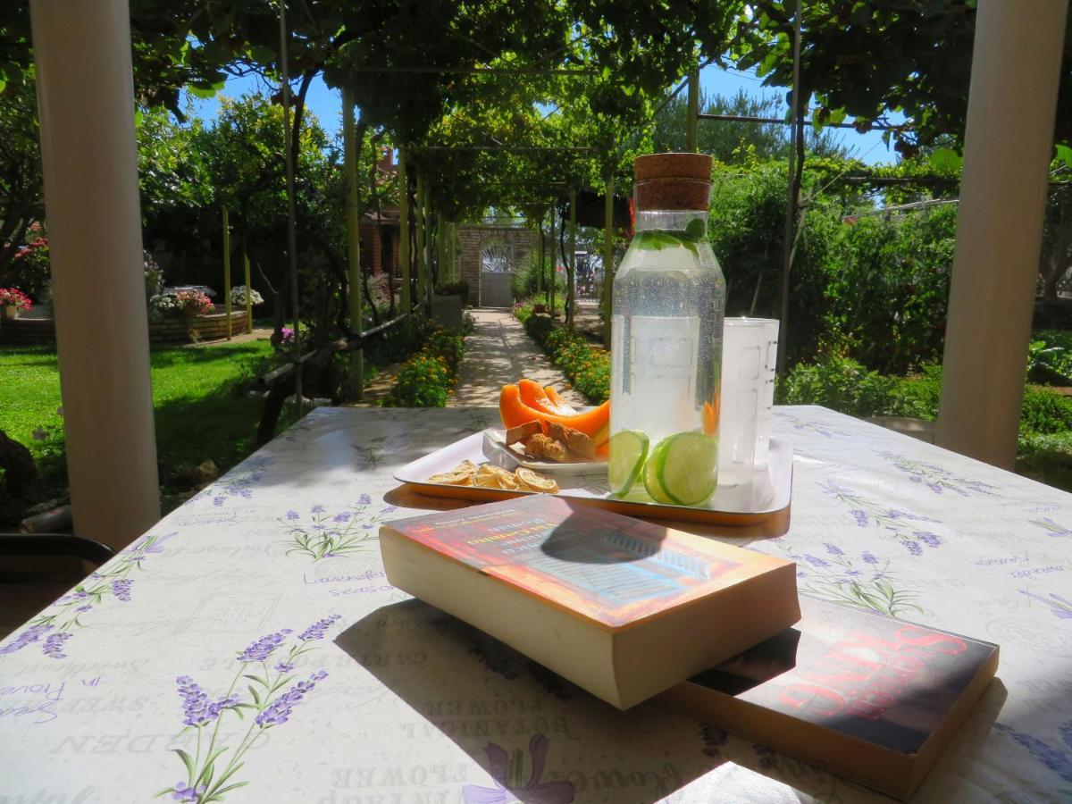 Beach Apartments Roza - The Garden Apartment Biograd Na Moru Esterno foto