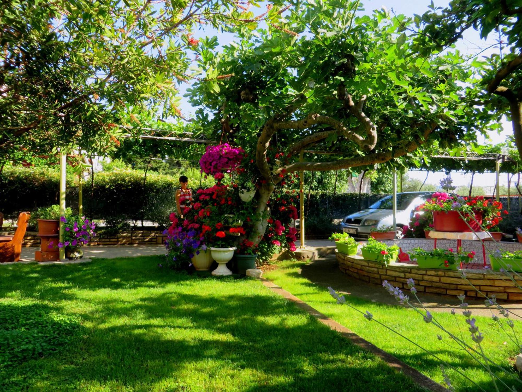 Beach Apartments Roza - The Garden Apartment Biograd Na Moru Esterno foto